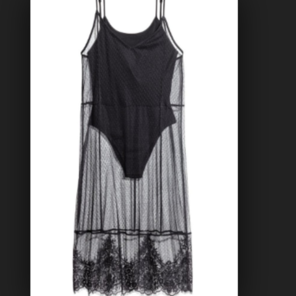 Sheer Lace Dress